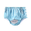 Babyland Baby Swimming Pool Diaper 1PC Waterproof Cloth Diapers Swimwear for Kids Pool Pant Swimming Fit For Baby 0--3 Years
