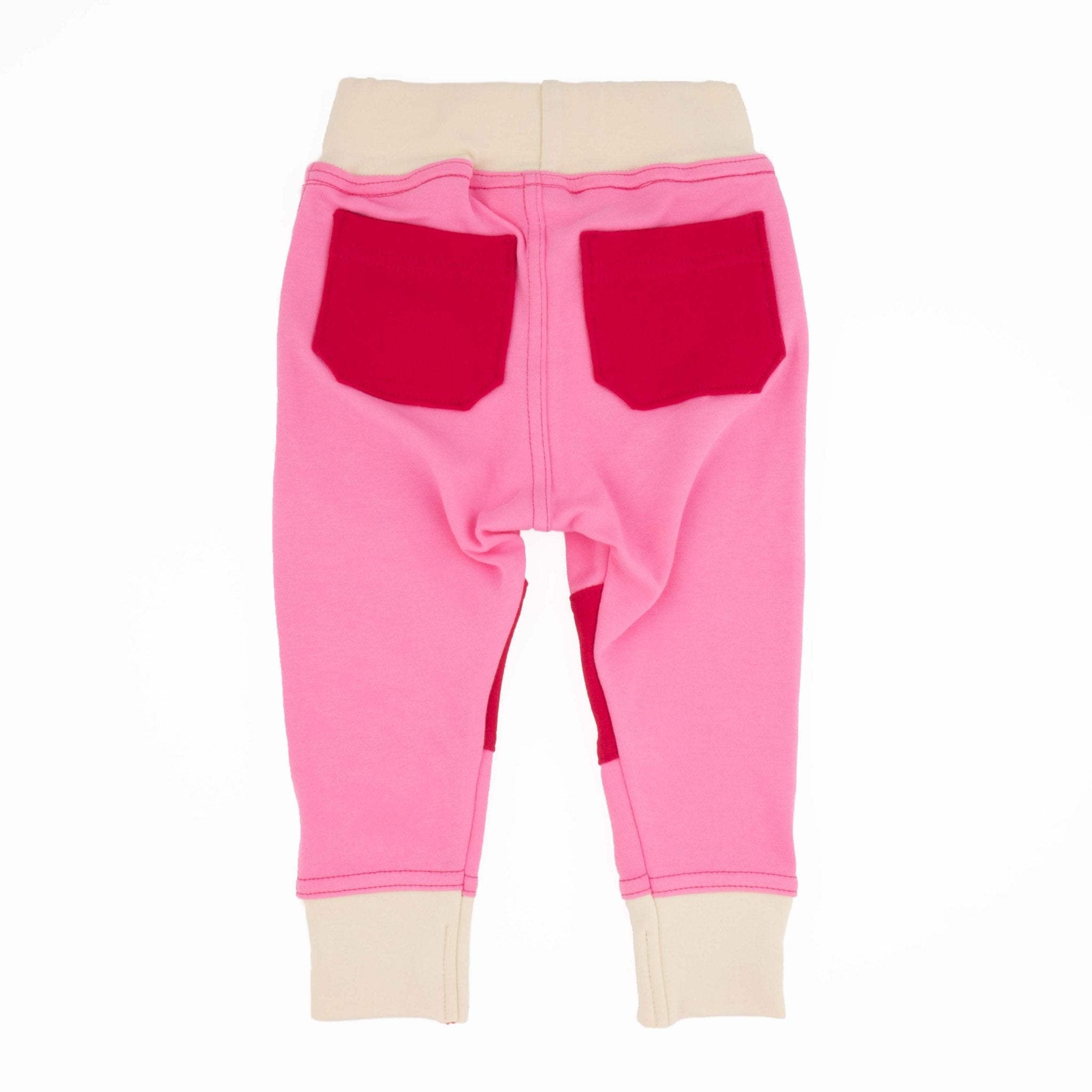 Adult Colorblock Joggers