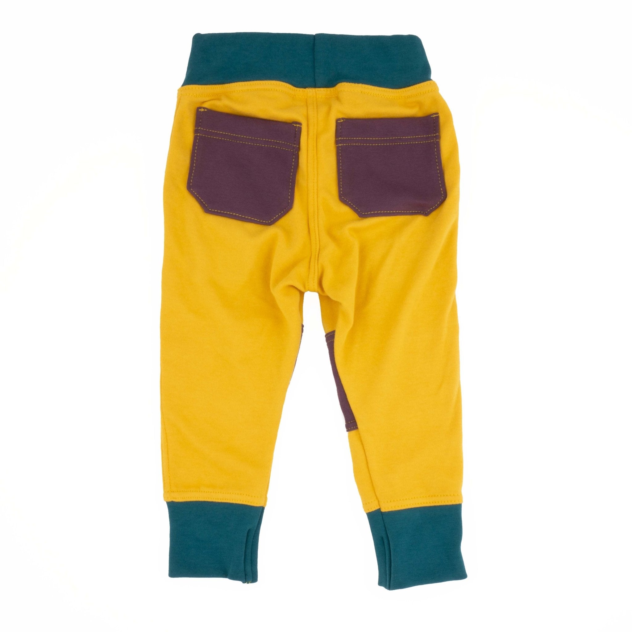 Adult Colorblock Joggers